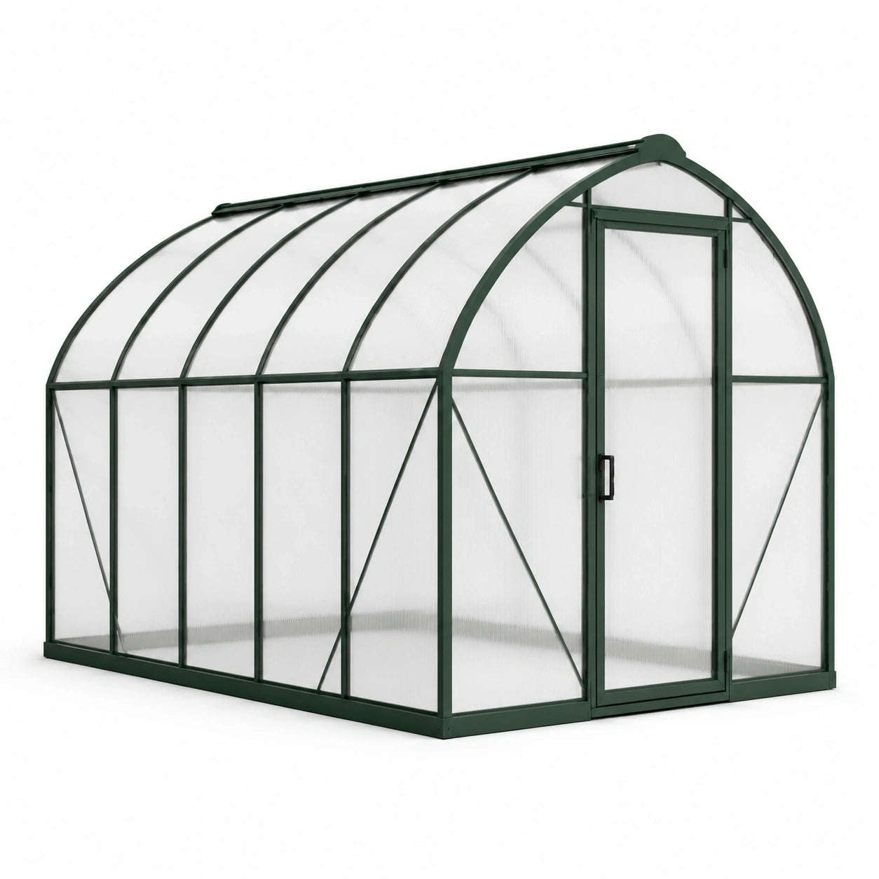Serre de jardin en aluminium vert foncé et polycarbonate transparent, 250 × 190 × 195 cm, toit arqué avec porte et lucarne